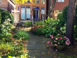 Fall garden