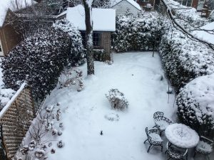 winter garden