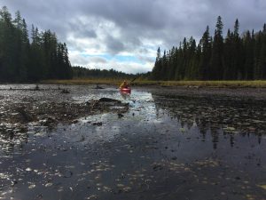 fall paddle 2