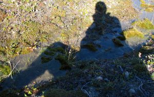 shadow